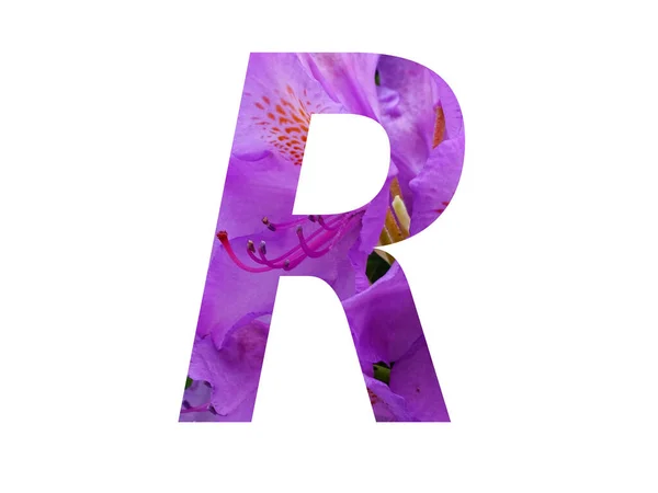 白地に孤立したツツジのピンク色の花で作られたアルファベットの文字R — ストック写真