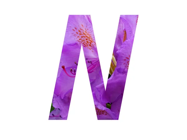 바탕에 고립되어 드론의 꽃으로 만들어 알파벳 — 스톡 사진