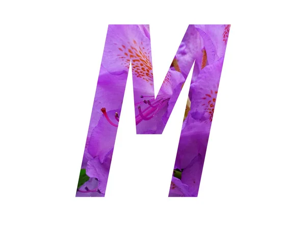 Litera Alfabetu Wykonana Różowego Kwiatu Rododendronu Wyizolowana Białym Tle — Zdjęcie stockowe