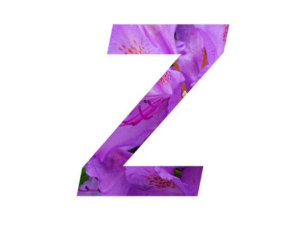 Bokstaven Alfabetet Med Rosa Blomma Rhododendron Isolerad Vit Bakgrund — Stockfoto