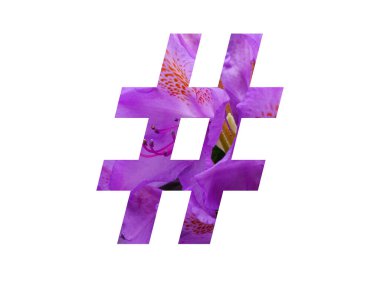 Rododendron 'un pembe çiçeğinden yapılan alfabenin etiket etiketi, beyaz arka planda izole edilmiş.