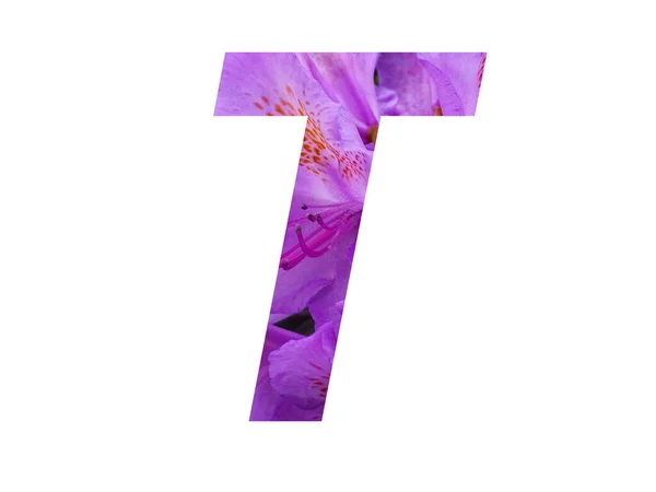 用杜鹃粉红的花朵制成的字母T的字母 用白色背景隔开 — 图库照片