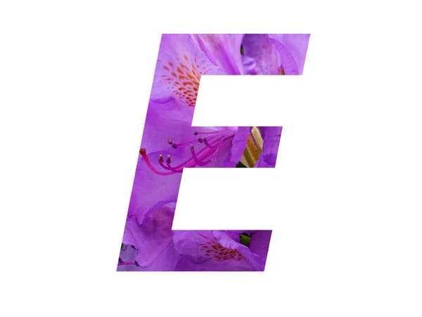 白地に孤立したツツジのピンク色の花で作られたアルファベットの手紙E — ストック写真