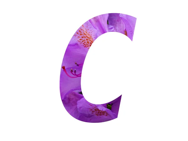 用杜鹃粉红的花制成的字母C的字母 用白色背景隔开 — 图库照片