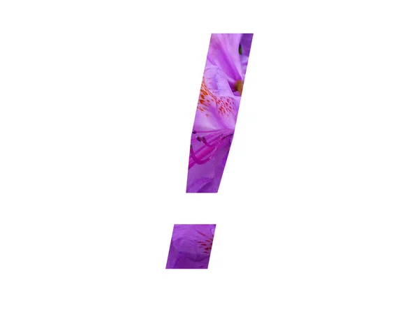 Signo Exclamación Del Alfabeto Hecho Con Flor Rosa Rhododendron Aislado —  Fotos de Stock