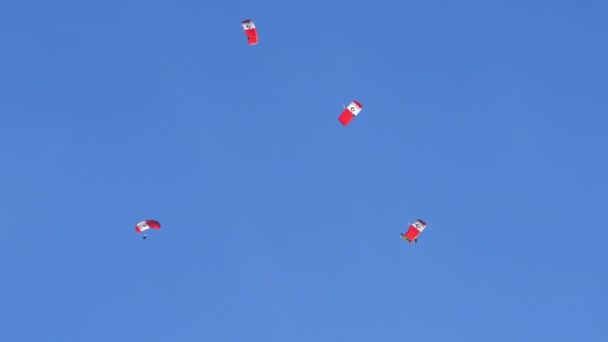 2022年10月19日 由四名跳伞者组成的团体在蓝天中表演复杂的杂技 培训和团队合作的概念 — 图库视频影像