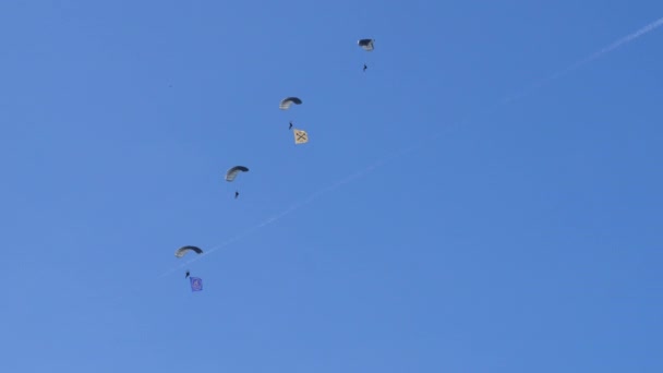 Група Військових Десантників Швейцарської Армії Спускається Синє Небо Прапорами Звисають — стокове відео