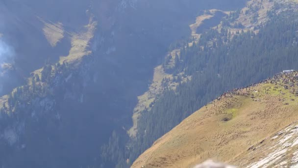 Zöld Alpesi Völgy Svájci Hegyek Egy Gyönyörű Napos Napon Ősszel — Stock videók