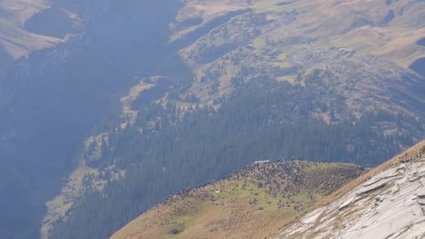 Migliaia Spettatori Arrampicano Piedi Sulle Cime Una Valle Svizzera Vedere — Video Stock