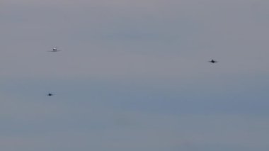 Askeri savaş uçakları, tehdit oluşturabilecek lüks bir iş uçağını durdurabilir. İsviçre Hava Kuvvetleri 'nden Pilatus PC-24. Axalp atış poligonu Bernese Oberland İsviçre 19 Ekim 2022