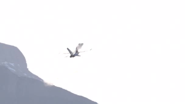 可視のPrandtl Glauert特異点蒸気凝縮コーンと音バリア速度に近い戦闘機ジェット高速フライ スイス空軍のF 18ホーネットを操縦する アクシャルプ射撃距離航空ショーで — ストック動画