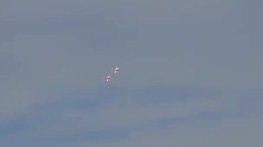 Dar bir düzende kırmızı ve beyaz renkte yalıtılmış hızlı savaş uçakları. İsviçre Hava Kuvvetleri Patrouille Suisse 'den Northrop F-5E Tiger II. Axalp Hava Gösterisi İsviçre