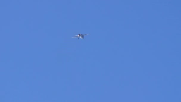 喷气式战斗机在一个环上向红外导引导弹发射照明弹 并以旋转的方式下降 瑞士空军的波音F 18大黄蜂 Axalp射击场航空展 — 图库视频影像