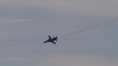 Savaş uçağı iniş takımları çıkarılmış bir şekilde yuvarlanıyor. Askeri pilot yeteneklerinin bir göstergesi. İsviçre Hava Kuvvetleri Patrouille Suisse 'den Northrop F-5E Tiger II. Axalp Hava Gösterisi İsviçre