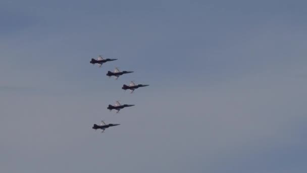 Wojskowe Myśliwce Drużyny Akrobatycznej Latające Formacji Jako Ptaki Migrujące Northrop — Wideo stockowe