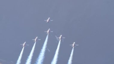 Dar bir vadide askeri jet takımının inanılmaz akrobatik gösterisi. Takım çalışması kavramı. İsviçre Hava Kuvvetleri Patrouille Suisse 'den Northrop F-5E Tiger II. Axalp Hava Gösterisi İsviçre