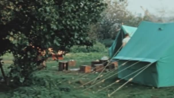 Group Tents Set Picturesque Campsite Image Captures Beauty Natural Setting — Vídeo de Stock