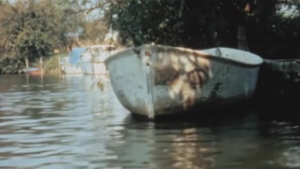 Serene View Sailboat Glides Tranquil River Surrounded Lush Greenery Rustic — Video