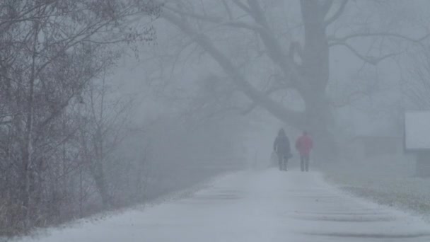 在寒冷的冬日里 一对男女在一场暴风雪下的森林里走在一条路上 Meiringen Bern瑞士 — 图库视频影像