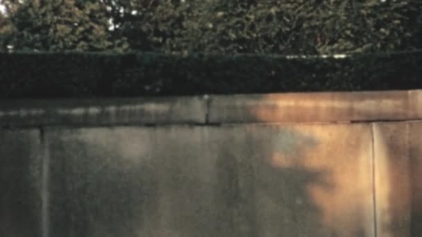 Ein Charmanter Kleiner Vogel Hockt Auf Einer Steinmauer Seinen Winzigen — Stockvideo
