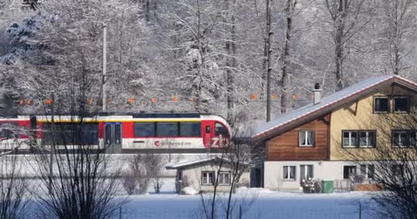Red White Swiss Train Runs Snowy Alpine Valley Winter Morning — Stok video