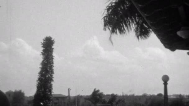 Avlshester Cuba 1930 Tallet Vakker Solskinnsdag Med Svarte Hvite Skyer – stockvideo