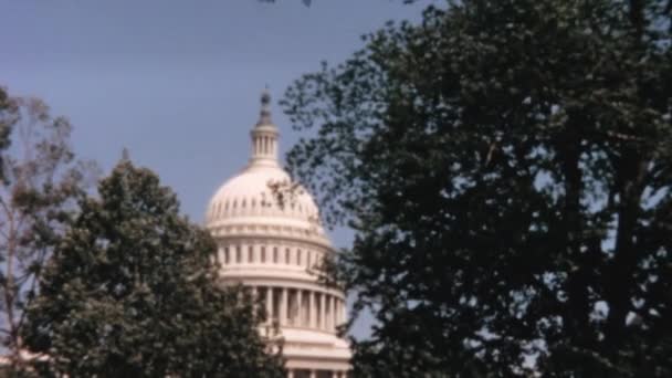 Kupolen Den Ikoniska Kapitolium Byggnaden Washington Står Högt Bland Träd — Stockvideo