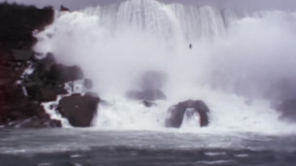 Impressive Amount Water Flowing Niagara Falls Birds Fly Spray Perspective — Stock Video