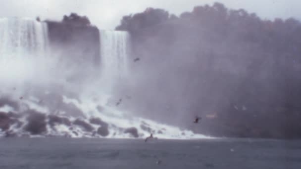 Niagara Falls Bottom View Tourrists Boat Птицы Летают Рыбачат Озере — стоковое видео