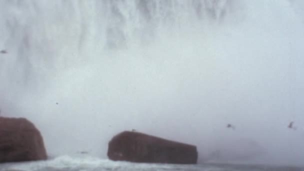 加拿大安大略省尼亚加拉瀑布基地的落水 用飞禽走兽从档案胶卷数字化的近视镜头 — 图库视频影像