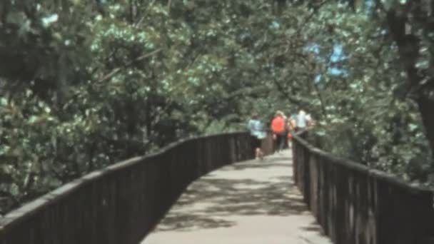 Toeristen Wandelen Een Houten Loopbrug Tuinen Van Frank Lloyd Wright — Stockvideo