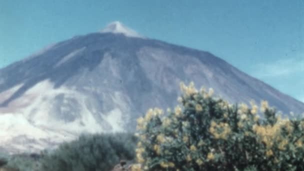 カナリア諸島のテネリフェ島のエル テイデ火山ワイドショットビュー1950年代ビデオ効果8Mmでヴィンテージ映像 自然公園で風の強い日ラス カナダ テイデ 白い花 — ストック動画