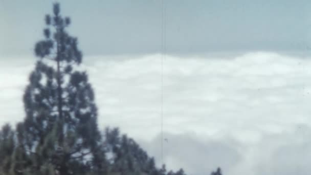 加那利群岛Tenerife的Teide Volcano场景视图 蓝天下的云彩 20世纪50年代怀旧的自然环境视频与超级8效应 陡峭斜坡上的绿针叶树 — 图库视频影像