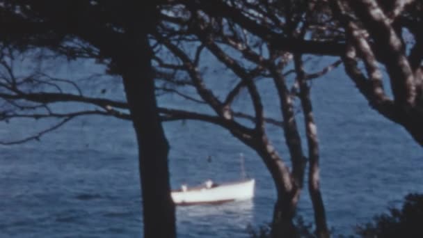 在大加那利亚的蓝海清澈海水中航行的船在树枝后面 炎热的夏日 加那利群岛1950年代的历史录像 在海岸线上的森林里放松 — 图库视频影像