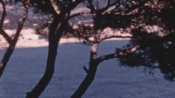 大加那利亚的蓝色海水在树枝后面 炎热的夏日 加那利群岛1950年代的档案影像 放松在海岸线上的森林里背景下的城市建筑 — 图库视频影像