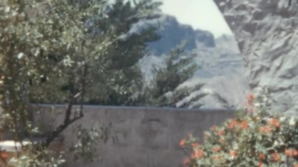 绿叶在风中摇曳的植物分枝在白色拱门中 Gran Canaria Cruz Tejeda 1950年代 山区背景 — 图库视频影像