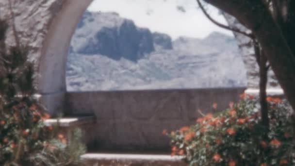 Montañas Gran Canaria Rodeadas Arco Árbol Con Flores Día Del — Vídeo de stock