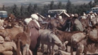 Fas İslam Adamı Çiftliği ve Kırsal Çevrede Yüksek Sıcaklıkta Yürüme. Çiftçilik ve Evcil Marakeş Geleneksel İnsanları Koruma ve Koruma Derneği. Çiftliğin dışında İslam Kültürü