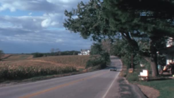 Тихая Улица Пышными Зелеными Деревьями Проходит Рядом Огромным Пшеничным Полем — стоковое видео