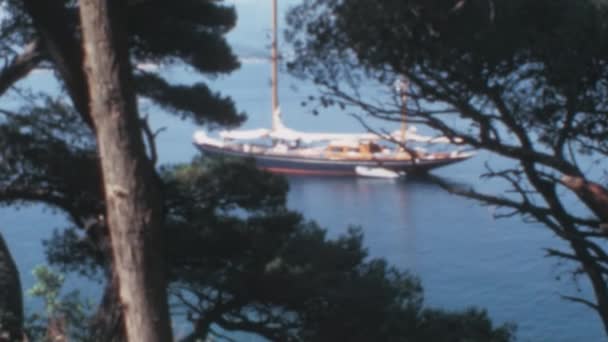 ドゥブロヴニク沿岸のアドリア海で木の幹と枝で囲まれた孤独な船 1970年のノスタルジックな映像は 元ジャグロヴィア ロッキーの静けさと自然の美しさを表現しています — ストック動画