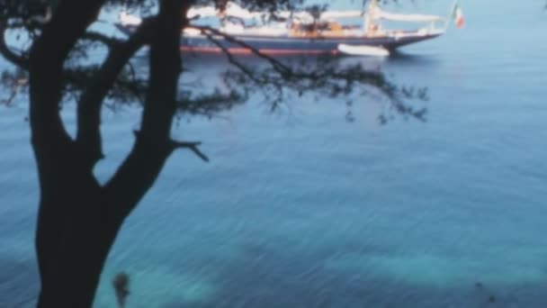 Barco Mar Adriático Cerca Dubrovnik Croacia Con Silueta Ramas Árboles — Vídeos de Stock