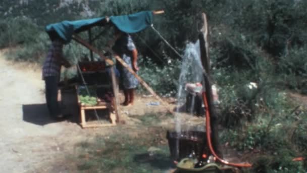 Пожилая Женщина Продает Еду Небольшом Киоске Вдоль Пышного Зеленого Леса — стоковое видео