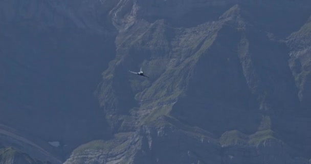北约的超音速战斗机高速飞越狭窄的阿尔卑斯山谷 展现了令人叹为观止的军事飞行员的技能 喷气式战斗机的速度和敏捷性是显而易见的 因为它能在飞行中通过 — 图库视频影像