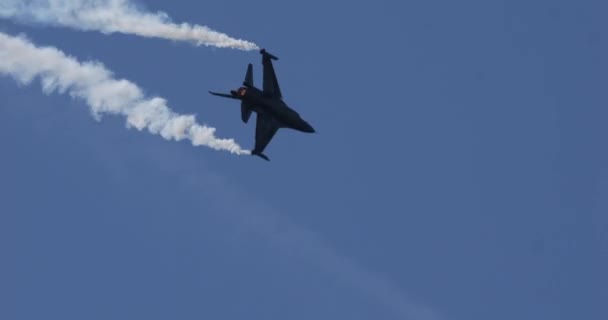 Высокопроизводительный Истребитель General Dynamics Fighting Falcon Компании Belgian Air Component — стоковое видео