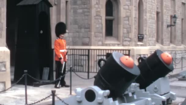 赤いコートと黒い毛皮の典型的なビーフーターガードのクローズアップは ロンドン塔の入り口を警備し 門の前に2つの大きな大砲を備えています スタティックショット ロンドンのアーカイブ映像 — ストック動画
