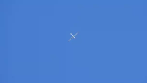 2021年10月16日 ティーネ イタリア 青空の翼の先端に緑と赤の煙の手榴弾でグライダーが輝いている 極端なスポーツのコンセプト — ストック動画