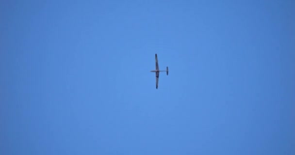 Μοναχικό Ανεμόπτερο Πτήση Ενάντια Γαλανό Ουρανό Αιχμαλωτίζοντας Την Ελευθερία Την — Αρχείο Βίντεο