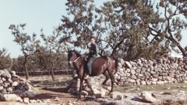 1950 Lerde Talya Nın Kırsal Kesimlerinde Güçlü Bir Süvari Güneşli — Stok video