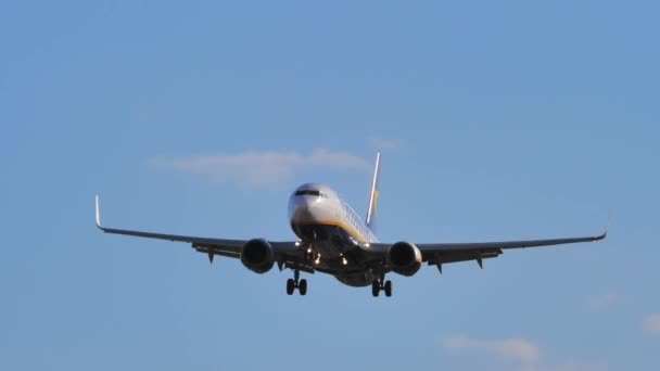 Boeing 737 Max Dwx Ryanair Известных Недорогих Европейских Авиакомпаний Замедленной — стоковое видео