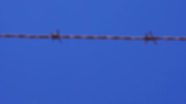 Passenger Airplane Flying Blue Sky Barbed Wire Концепции Пересечения Границ — стоковое видео